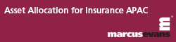 Asset Allocation for Insurance APAC 2013