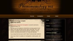 Phenomenology 102