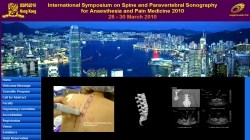International Symposium on Spine and Paravertebral Sonography for Anaesthesia and Pain Medicine 2010