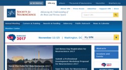 Neuroscience 2013