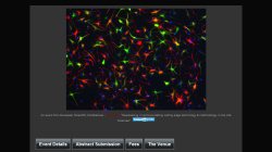 The 2012 Stem Cell Discussion Forum