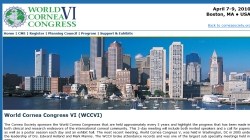 World Cornea Congress VI