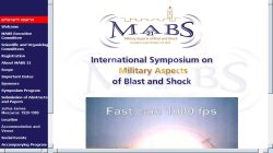 International Symposium on Military Aspects of Blast and Shock - MABS 21 2010