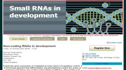 Non-coding RNAs in development 2010