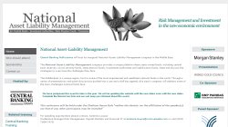 National Asset-Liability Management - Middle East 2010
