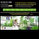 International Conference on Sustainable Architecture and Urban Design 2010