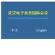 The Ninth Wuhan International Conference on E-Business (WHICEB2010)