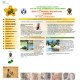 21st. Congress of the International Society for the Study of Behavioral Development (ISSBD)