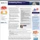 Combating Piracy 2010