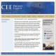 CEE Private Equity 2010