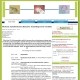 Human autoimmune disease: learning from models  2010