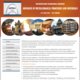 ADMET 2010