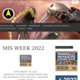 19th SLS Annual Meeting and Endo Expo 2010