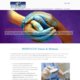 WINFOCUS WORLD 2010 - 6th World Congress on Ultrasound in Emergency & Critical Care Medicine