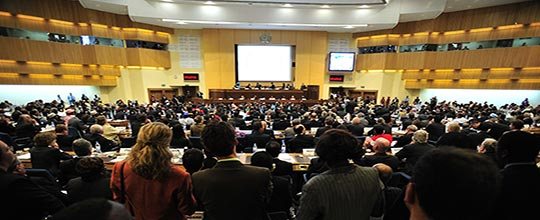 International conferences and popular exhibitions